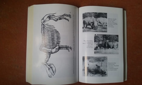 Le rhinocéros. Au Nom de la Corne
. ZECCHINI Alain
