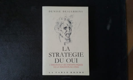 La Stratégie du oui - L'émotion et ses thérapeutiques : de la Tradition au Lying
. DESJARDINS Denise