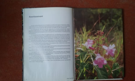 Flore de Guyane
. DELABERGERIE Guy