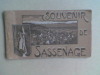 Souvenir de Sassenage	. P. GAUDE	