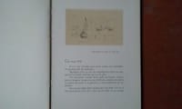 Galerie contemporaine - Vingt-six Dessins de Roger Wild