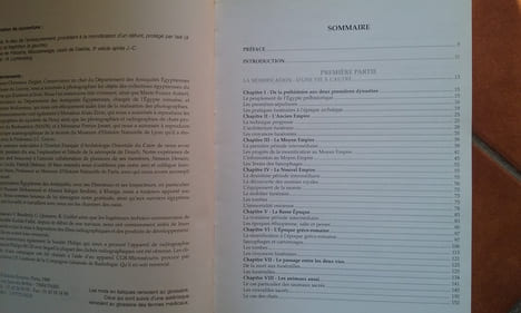Les momies et la mort en Egypte
. DUNAND Françoise - LICHTENBERG Roger