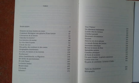 Les Lorettes - Paris capitale mondiale des plaisirs au XIXe siècle
. PIERRAT Emmanuel
