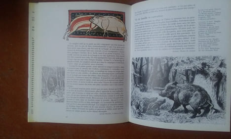 Anthologie du sanglier
. BROCHIER Jean-Jacques