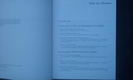 Une histoire du sel - Avec une Annexe technique par Albert Hahling, Conservateur du Musée suisse du Sel, Aigle
. BERGIER Jean-François