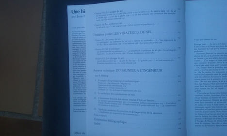 Une histoire du sel - Avec une Annexe technique par Albert Hahling, Conservateur du Musée suisse du Sel, Aigle
. BERGIER Jean-François