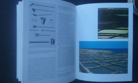 Une histoire du sel - Avec une Annexe technique par Albert Hahling, Conservateur du Musée suisse du Sel, Aigle
. BERGIER Jean-François