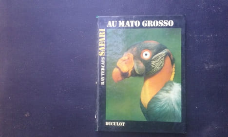 Safari au Mato Grosso
. TERCAFS Ray
