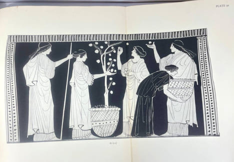 Red-figured Athenian Vases
in the Metropolitan Museum of Art. Gisela MA Richter