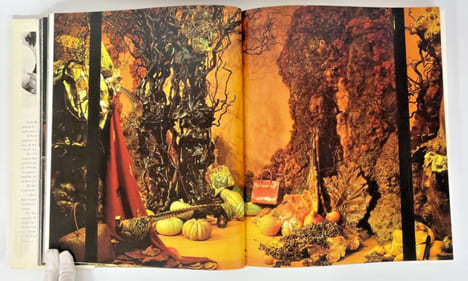 Les Vitrines Hermès. Contes nomades de Leïla Menchari. Michèle Gazier, Michel Tournier, Leïla Menchari