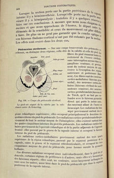 Traité de physiologie [3 vol. sur 5]. Jean-Pierre Morat, Maurice Doyon