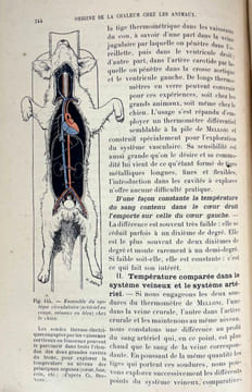 Traité de physiologie [3 vol. sur 5]. Jean-Pierre Morat, Maurice Doyon