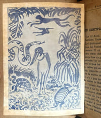 Fables de mon Brésil, tome II