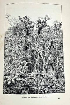 Des Andes au Para : Équateur-Pérou-Amazone 1890. Marcel Monnier
