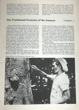 Amazonia by the Brazilian Embassy of London - #10. Various Authors