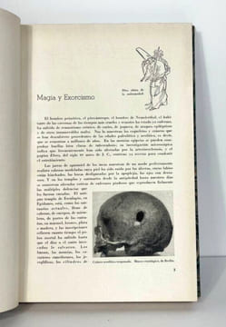 La lucha contra la enfermedad y la muerte. Resumen gráfico de la historia de la medicina. René Fülöp Miller