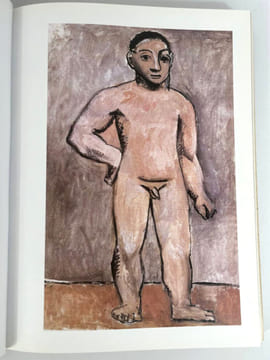 Picasso na Oca / Picasso à São Paulo. Dominique Dupuis-Labbé, Véronique Barreau