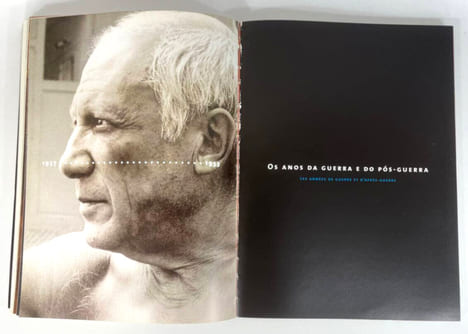 Picasso na Oca / Picasso à São Paulo. Dominique Dupuis-Labbé, Véronique Barreau