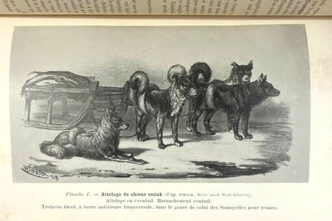Ologénèse culturelle. Traité d'ethnologie cyclo-culturelle et d'ergologie systématique. George Montandon