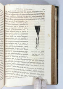 Éléments de pathologie chirurgicale générale