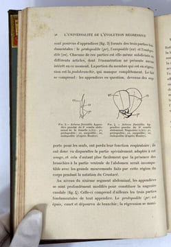 L'évolution régressive en biologie et en sociologie. Jean Demoor, Jean Massart et Émile Vandervelde