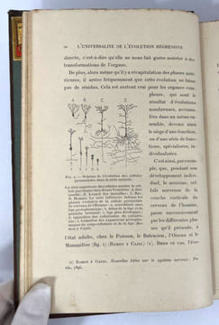 L'évolution régressive en biologie et en sociologie. Jean Demoor, Jean Massart et Émile Vandervelde