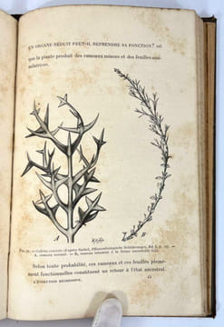 L'évolution régressive en biologie et en sociologie. Jean Demoor, Jean Massart et Émile Vandervelde