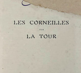 Les corneilles de la Tour