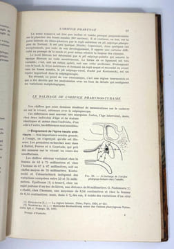 La trompe d'Eustache. J. Terracol, A. Corone et Y. Guerrier