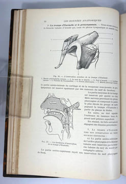 La trompe d'Eustache. J. Terracol, A. Corone et Y. Guerrier