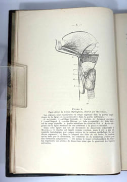 Le tractus thyréoglosse. Embryologie topogographique, pathologie chirurgicale, kystes, fistules et tumeurs. G. Rémy Néris