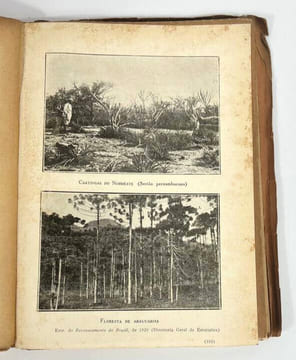 Evolução do povo brasileiro. Oliveira Vianna