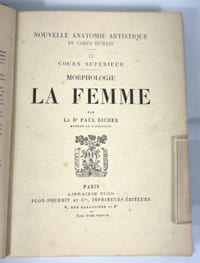 La femme : morphologie