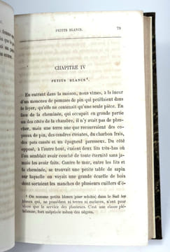 Les Noirs et les petits Blancs
dans les États du Sud de l'Amérique du Nord. Edmond Kirke
