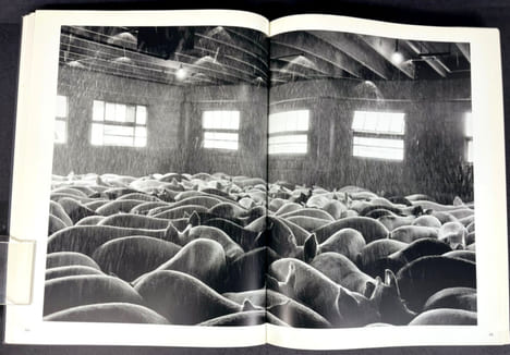 Trabalhadores. Uma arqueologia da era industrial. Sebastião Salgado