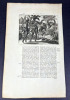 4 pages avec gravures (pages with engravings) de "De Nieuwe en Onbekende Weereld of Beschryving van America en 't Zuid-Land": cannibalisme, singe à ...
