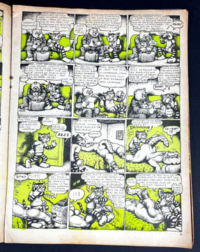 Lot de numéros de Hara-Kiri et de magazines liés au dessinateur américain Robert Crumb. Robert Crumb, Cabu, Reiser, Professeur Choron