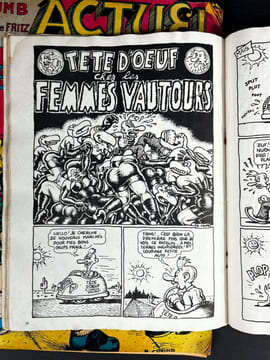 Lot de numéros de Hara-Kiri et de magazines liés au dessinateur américain Robert Crumb. Robert Crumb, Cabu, Reiser, Professeur Choron