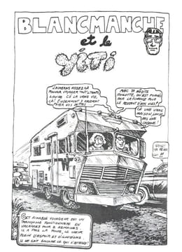 Lot de numéros de Hara-Kiri et de magazines liés au dessinateur américain Robert Crumb. Robert Crumb, Cabu, Reiser, Professeur Choron