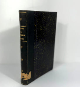 The Barnabys in America, or
Adventures of the Widow Wedded