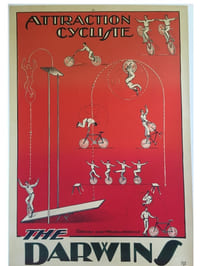 THE DARWINS
ATTRACTION CYCLISTE
