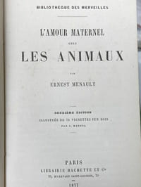 L'Amour maternel chez les animaux