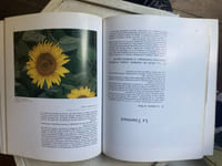LA FLEUR ET L'ABEILLE 