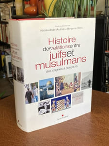 Histoire des relations entre juifs et musulmans des origines à nos jours
