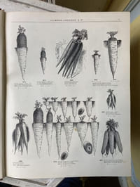 ALBUM DE CLICHES electrotypes Kupferniederschlaege Comprenant toutes les illustrations des Ouvrages et Catalogues publiés