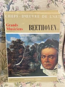 Chefs-d'Oeuvre de l'Art - Grands Musiciens - BEETHOVEN Tome V