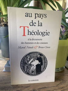 AU PAYS DE LA THEOLOGIE. A la découverte des hommes et des courants