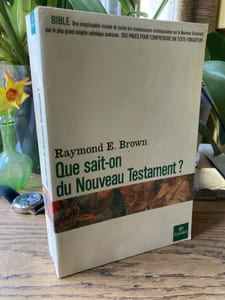 Que sait-on du Nouveau Testament ?