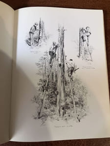 LES LANDES DE BORDEAUX Reportage illustré