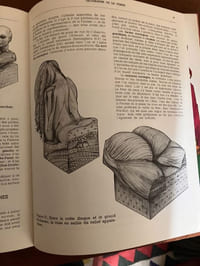 Géographie de la femme